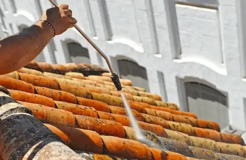 Nettoyage de toitures - Magnieu